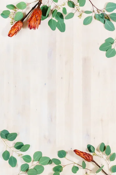 Papan kayu dengan daun — Stok Foto
