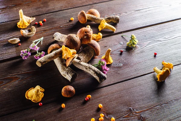 Colorful autumn plant — Stock Image Colorful autumn plant Stock Photo