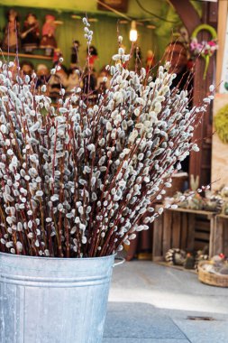 Paskalya dekoratif bitkiler