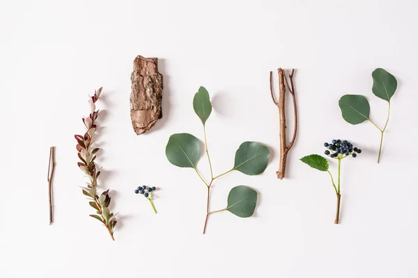 Herfst seizoensgebonden planten — Stockfoto