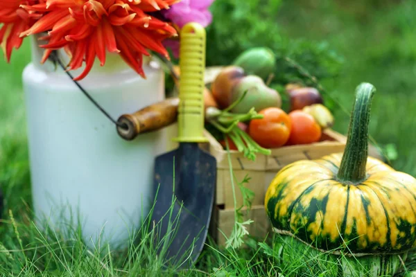 Acuerdo de otoño sobre tierras agrícolas — Foto de Stock