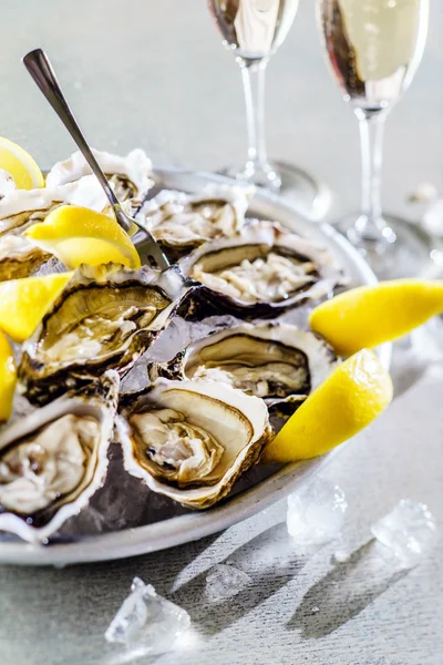 Ostras abiertas en un plato — Foto de Stock