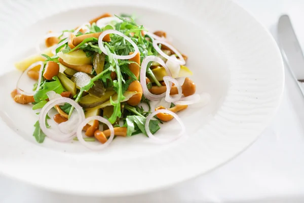 Delicious mushroom salad — Stock Image Delicious mushroom salad Stock Image