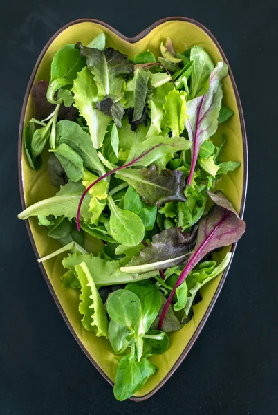 Egészséges, friss salátával — Stock Fotó