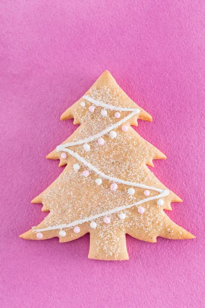Délicieux biscuit de Noël — Photo