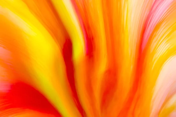 Abstract color texture — Stock Photo, Image