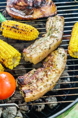 Barbekü Izgara kavramı