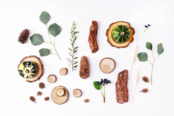 Autumn plants flat lay — Stock Photo, Image