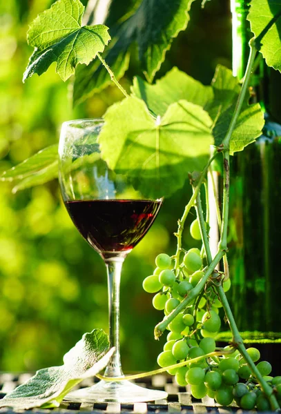 Wine with green grapes — Stock Photo, Image