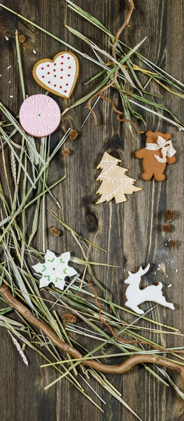 Deliziosi biscotti di Natale — Foto Stock