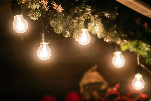 Light bulbs and fit tree garland — Stock Photo, Image