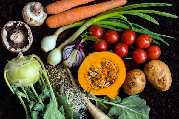 Färska ekologiska grönsaker — Stockfoto