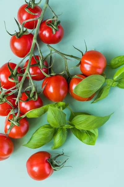 Cherry tomatoes with basil — Stock Photo, Image