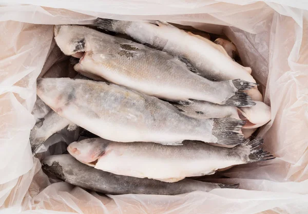 Замороженная рыба на рынке — стоковое фото