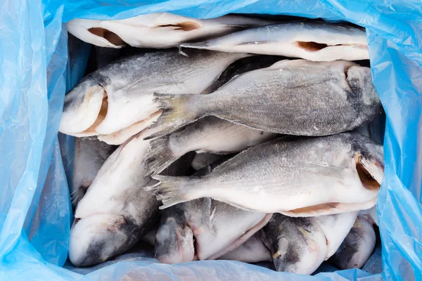Fryst fisk på marknaden — Stockfoto
