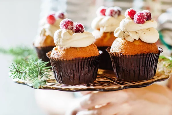 Finom karácsonyi cupcakes — Stock Fotó