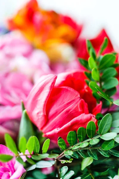 Stelletje mooie bloemen — Stockfoto