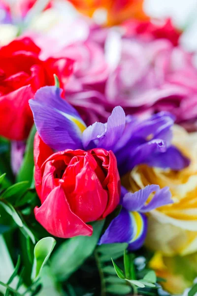 Ramo de flores bonitas —  Fotos de Stock