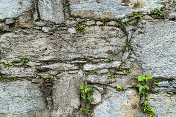 Παλαιόν Ιστορικόν τοίχο — Φωτογραφία Αρχείου