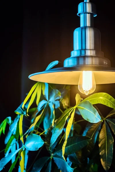 Lámpara moderna con estilo —  Fotos de Stock