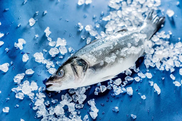 Robalo bruto — Fotografia de Stock