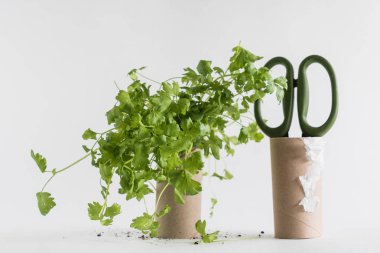 Geri dönüşümlü tuvalet kağıdı rulosu 