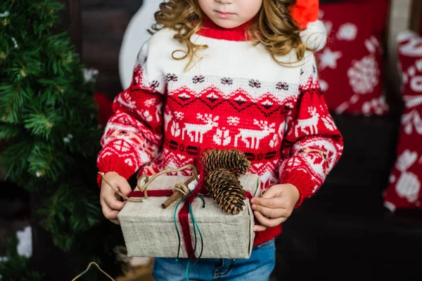 Trevlig tjej med julklapp — Stockfoto