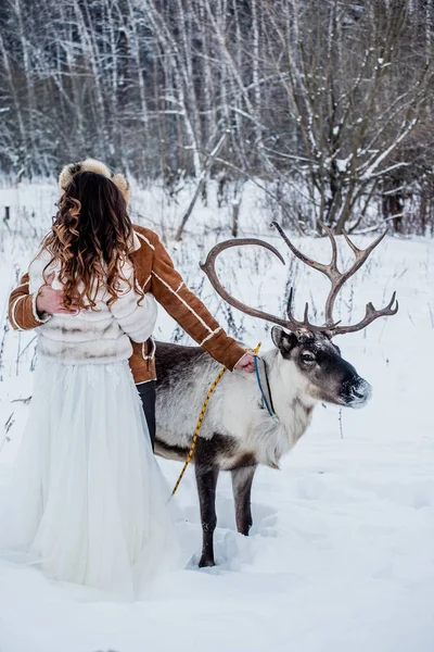 Ciervos cerca de novia y novio —  Fotos de Stock