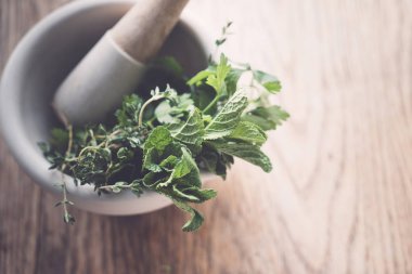 Havanda taze bitkiler.