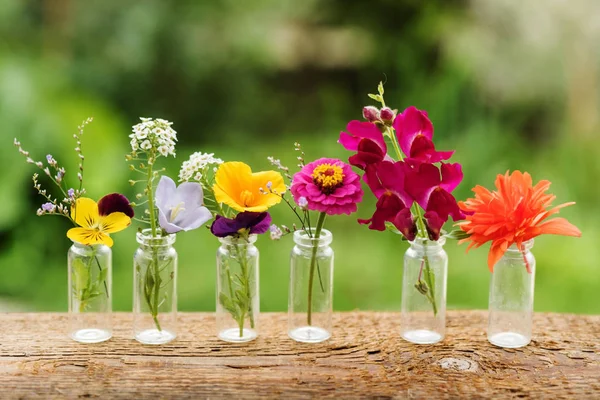 Bonitas flores en botellas —  Fotos de Stock