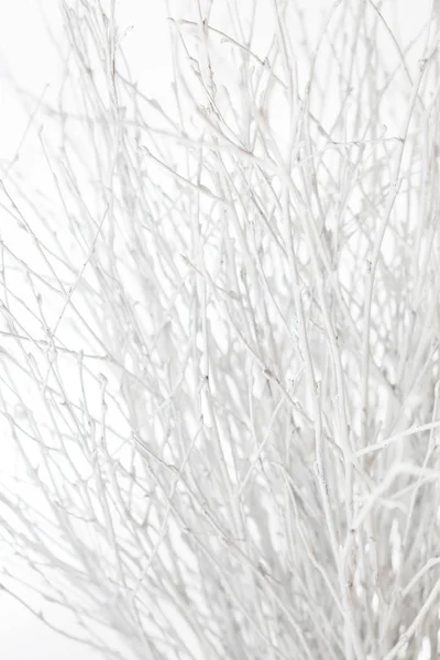 그린된 크리스마스 분기 — 스톡 사진