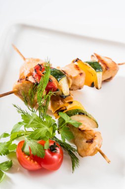 ızgara tavuk kebabı