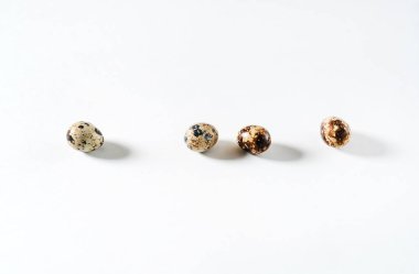 Bıldırcın yumurtası satırda 