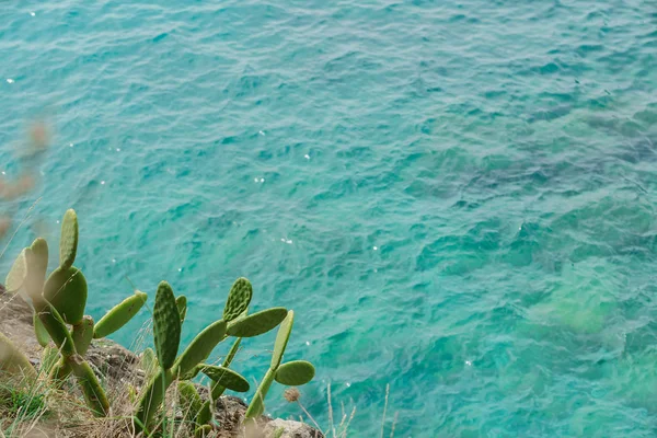 漂亮的绿松石海 — 图库照片