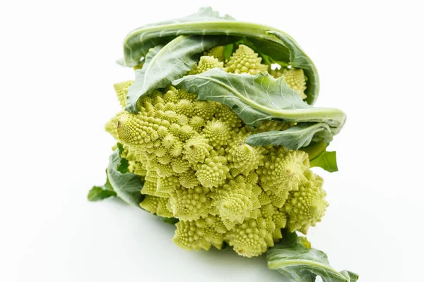 Ripe romanesko broccoli — Stock Photo, Image