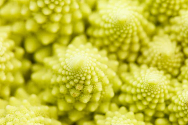 Reifer romanesko broccoli — Stockfoto