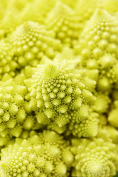 Reifer romanesko broccoli — Stockfoto