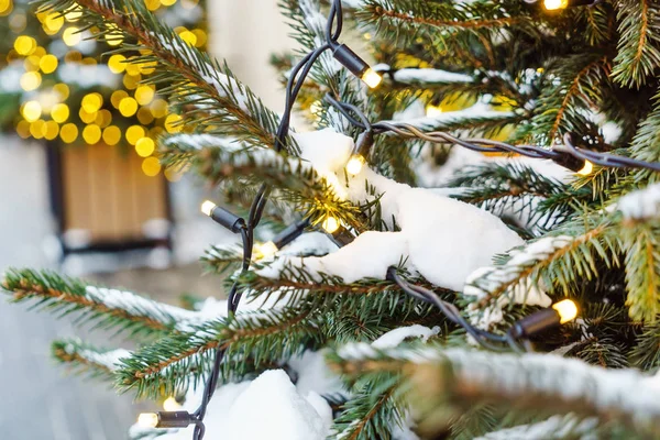 Albero di Natale inverno — Foto Stock