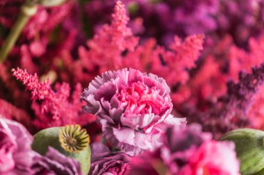 güzel çiçekler kompozisyon   