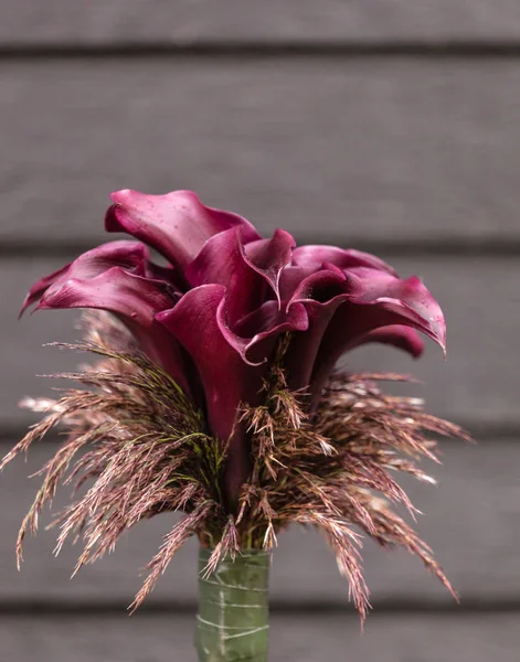 Nice purple bouquet — Stock Photo, Image
