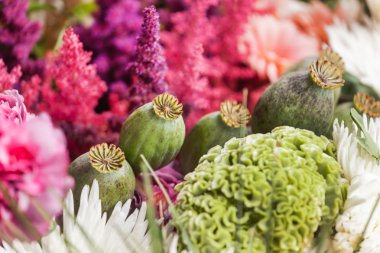 güzel çiçekler bileşimi