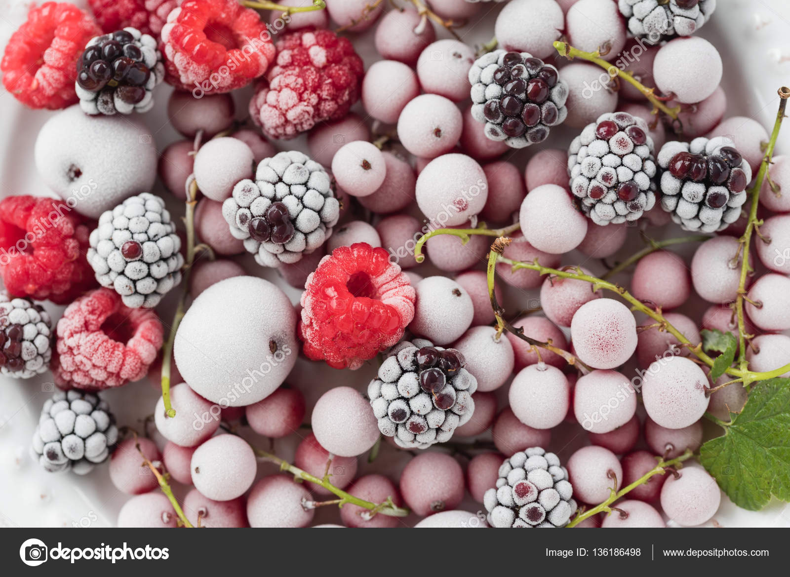 Colorful Berries in Clear Plastic Containers on Grocery Store Shelf - Free  Stock Photo | Pikwizard, image size:1600x1169