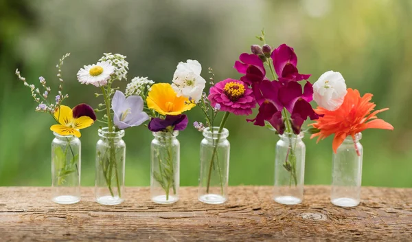 Fina blommor i flaskor — Stockfoto