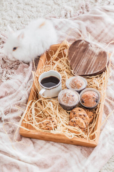 nice rabbit and breakfast