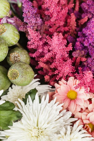 Composizione di bei fiori — Foto Stock