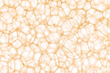 soyut hücre arka planı 