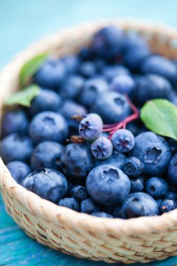 Olgun taze yaban mersini