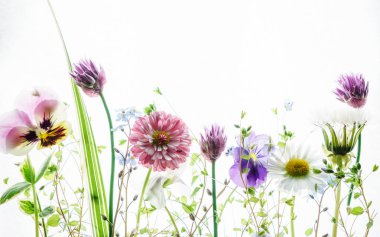 bunch of spring flowers clipart
