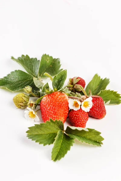 Bunch of fresh strawberries — Stock Photo, Image