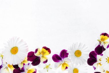 Hercai Menekşe ve papatya çiçekler